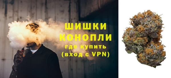 шишки Щёлкино
