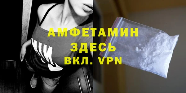 индика Волоколамск