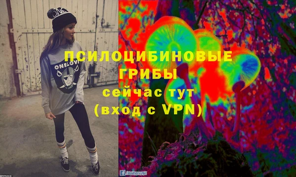 спиды Володарск
