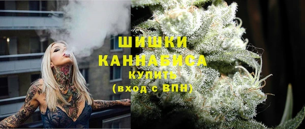 тгк Шали