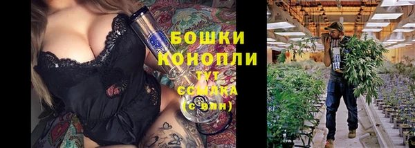 индика Волоколамск